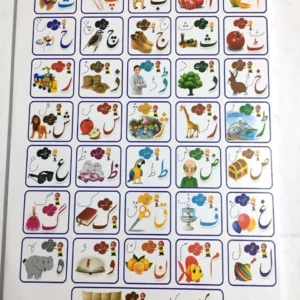 Foldable Kids Alphabet Education Whiteboard with Picture Vocabulary
