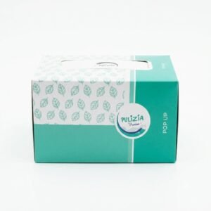 Pulizia Tissue Box